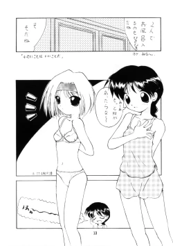 Page 13 of PETANSHIP