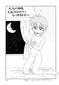 Page 15 of PETANSHIP