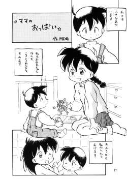 Page 17 of PETANSHIP