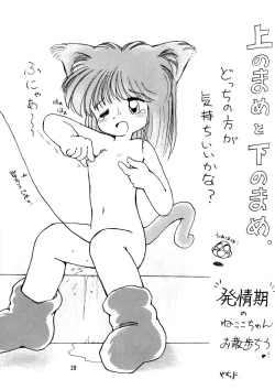 Page 19 of PETANSHIP