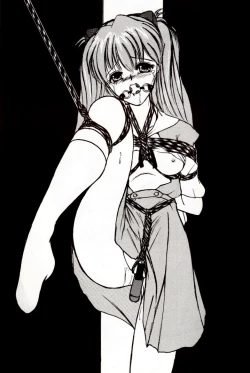 Page 30 of Second Hobaku Project 2