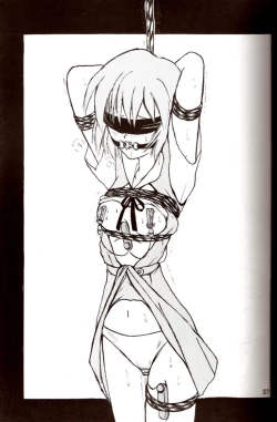 Page 36 of Second Hobaku Project 2