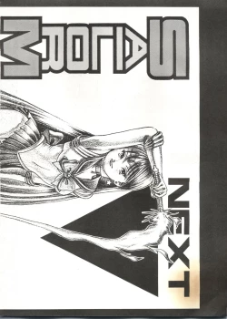 Page 39 of Sailor Moon Mate 01 - Usagi