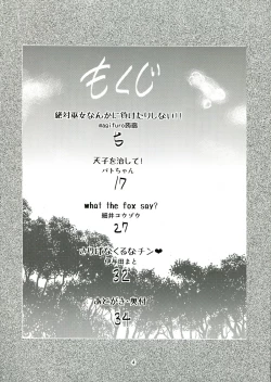 Page 4 of Touhou Futanari Tokubetsu Keihou