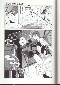 Page 34 of Gontan ga Kuru yo
