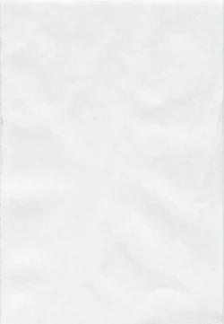 Page 162 of RAN-MAN Vol. 1 Josei Sakka Anthology