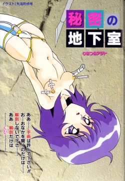 Page 3 of Himitsu no Chikashitsu Vol.1