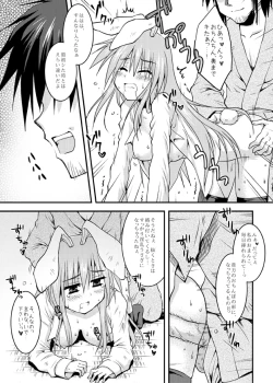 Page 16 of Iede Usagi.