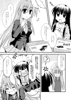 Page 4 of Iede Usagi.