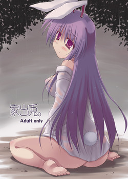 Download Iede Usagi.