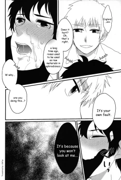 Page 19 of El cautivo de la rosa