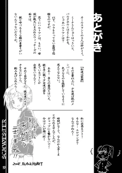 Page 20 of SCHWESTER