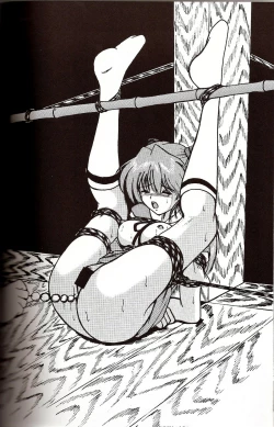 Page 30 of Second Hobaku Project 4