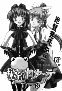 Page 22 of Himitsu no Serenade 3