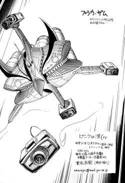 Page 29 of Pink wa In