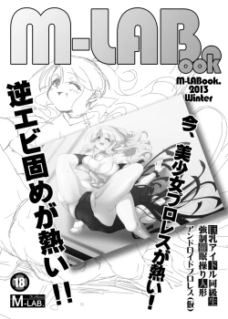 Page 1 of M-LABook.2013Winter DL版