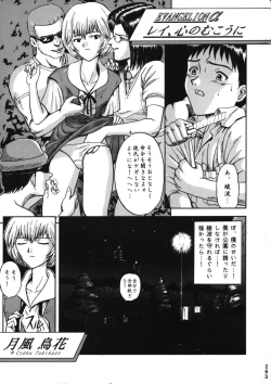 Page 261 of Katze 14