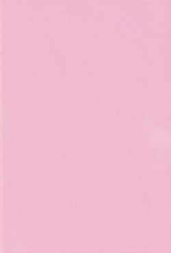 Page 2 of Sou iu Kibun.