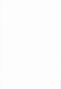 Page 31 of Mitakihara Bangaichi