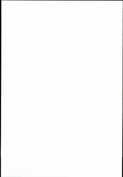 Page 25 of Kassyoku Pilot