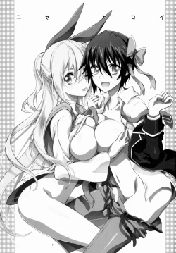 Page 3 of Nisenisekoi 3