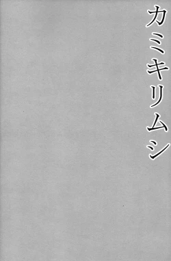 Page 4 of Kamikirimushi