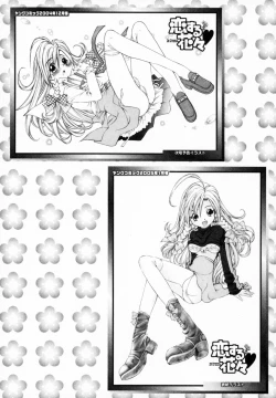 Page 145 of Koisuru Hanahana - The flowers fall in love 1