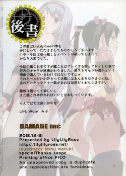 Page 22 of DAMAGEinc