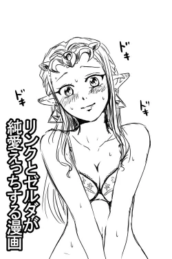 Page 1 of Link to Zelda ga Jun Ai Ecchi suru Manga