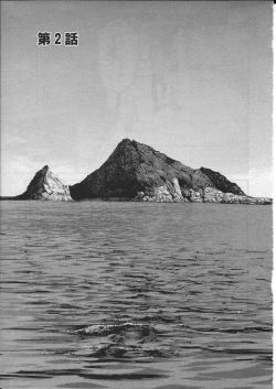 Page 24 of Ningyo o Kurau Shima