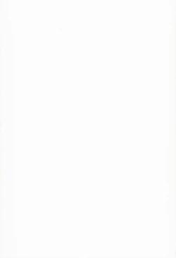 Page 31 of Aila Reiji to Sex Shitainen