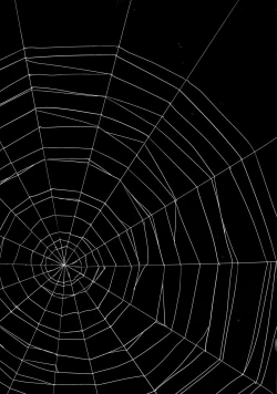 Page 41 of Youkai Chin Man Tan