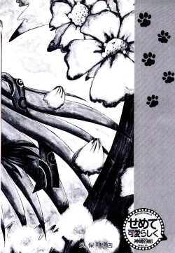 Page 169 of Semete Kawairashiku