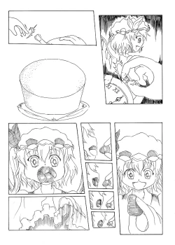 Page 4 of 【紅楼夢６】咲夜の時姦外伝　フランちゃんの時姦っ！