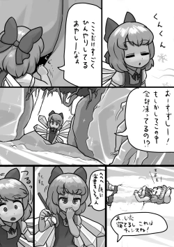 Page 3 of Chinko Cirno x Futsuu Letty no Suikan Manga