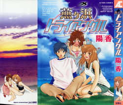 Download Tsubamegahama Triangle