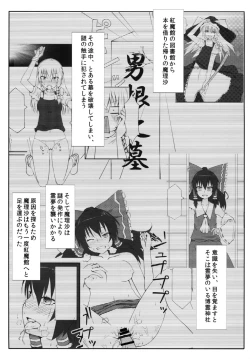 Page 2 of Marikan II