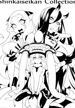 Page 2 of Shinkaiseikan Collection