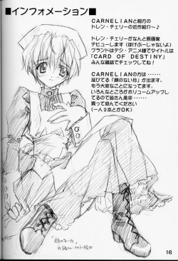 Page 15 of X Gee Mania