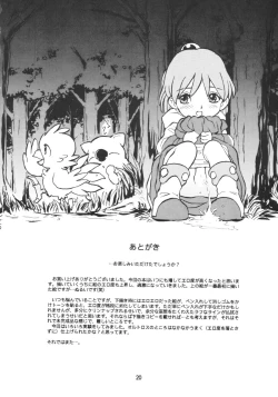 Page 19 of Shirma No Dungeon Diary