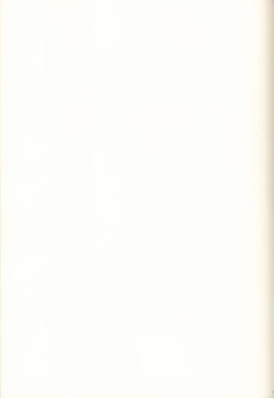 Page 17 of Iede Nikki