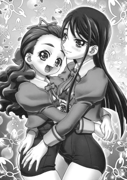 Page 4 of Kamen de Puni Cure