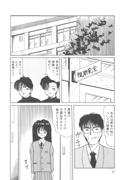 Page 23 of Kegasareta Seifuku