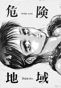 Page 2 of DANGER ZONE improved version SIDE A