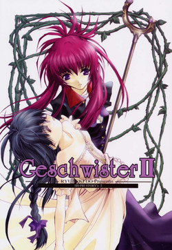 Download Geschwister II