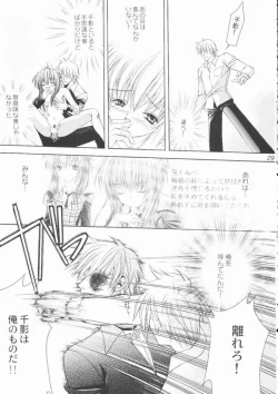 Page 28 of ROSE GARDEN