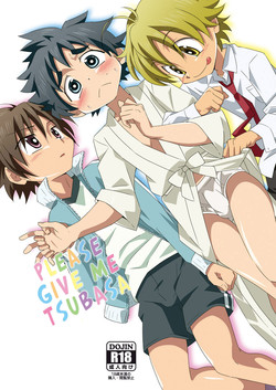 Download Tsubasa o Kudasai