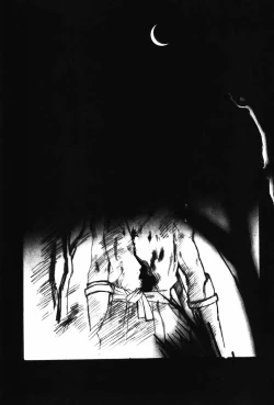 Page 63 of KUNOICHI JAPAN