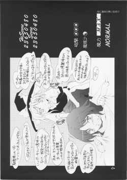 Page 29 of Touhou Genjiiroku
