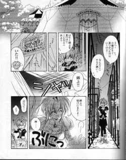 Page 39 of CARNELIAN3